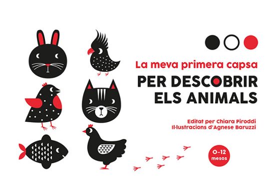 La Meva Primera Capsa per Descobrir els Animals