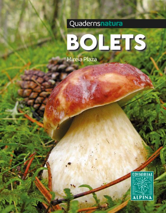 Bolets. Quaderns natura