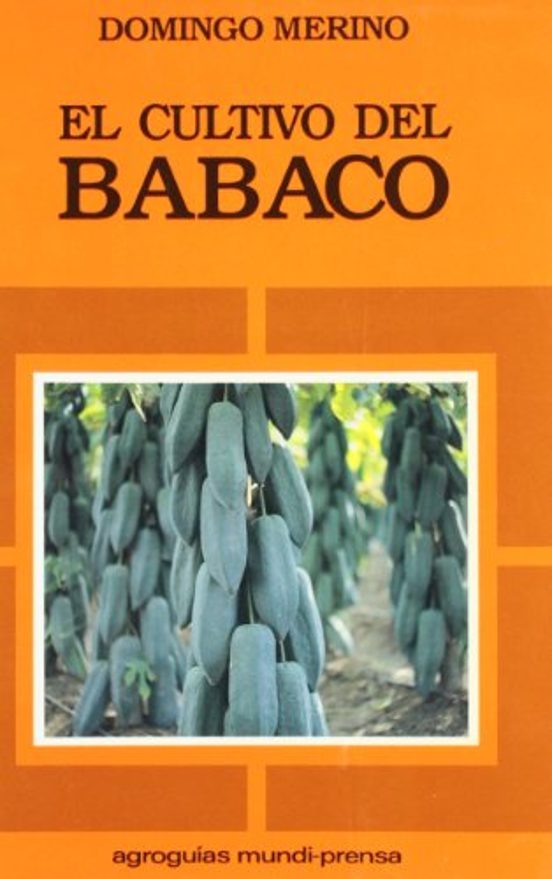 El Cultivo Del Babaco