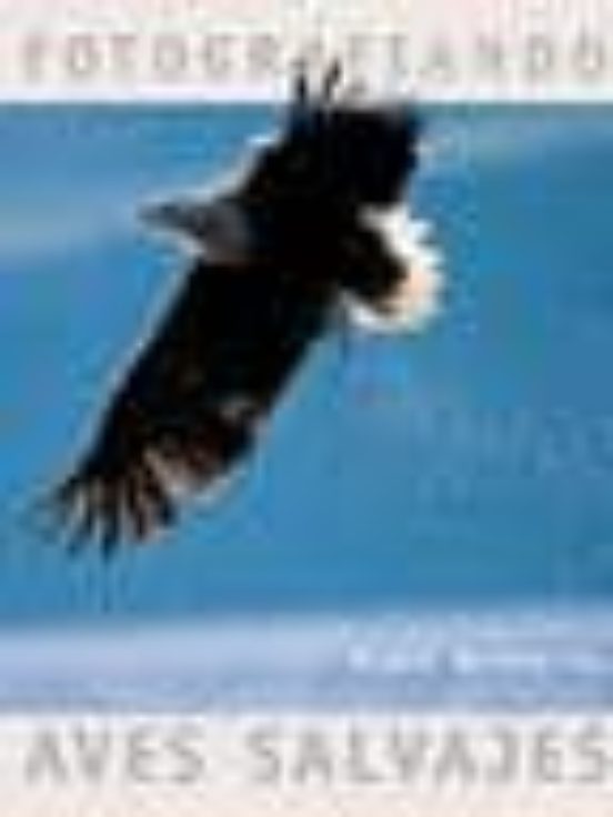 Fotografiando Aves Salvajes