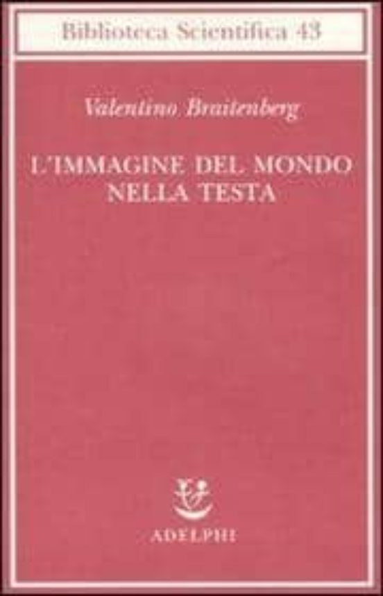 L Immagine del Mondo Nella Testa