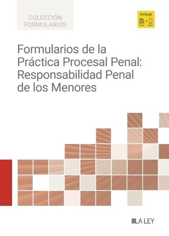 Formularios De La Práctica Procesal Penal: Responsabilidad Penal De Los Menores