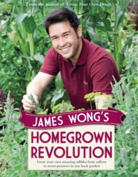 James Wongs Homegrown Revolution