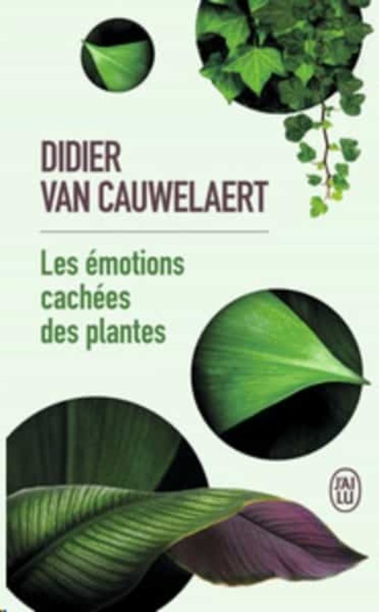 Les Emotions Cachées Des Plantes