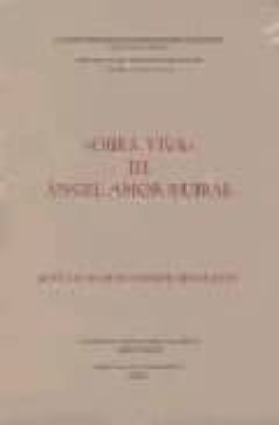 Obra Viva De Ángel Amor Ruibal