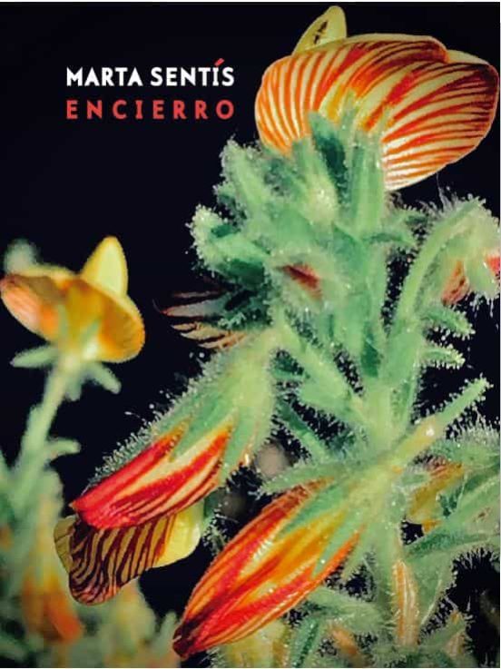 Encierro