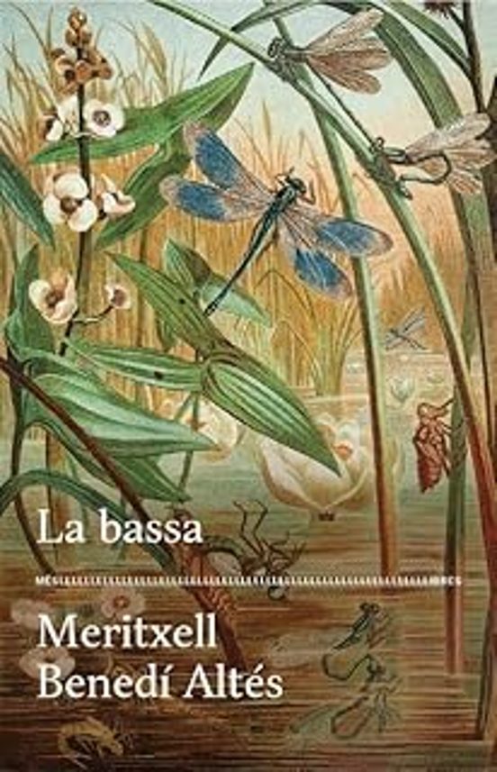 La Bassa