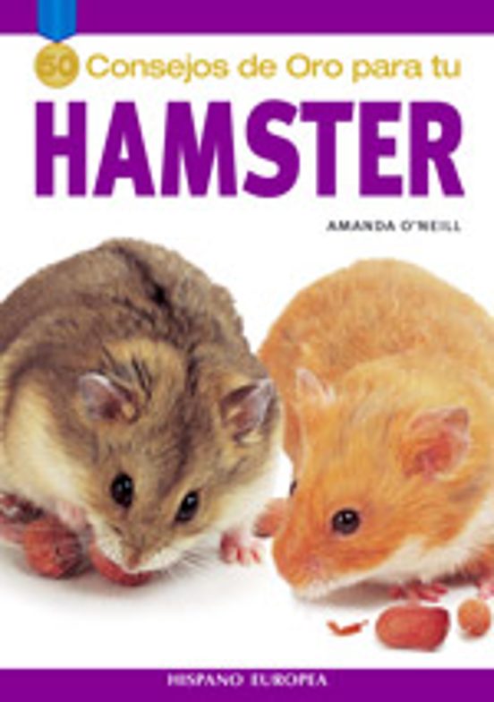 50 Consejos De Oro Para Tu Hamster