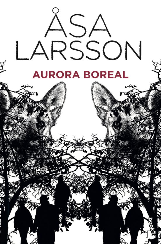 Aurora Boreal