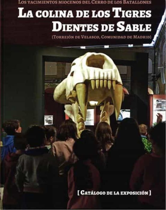 La Colina De Los Tigres Dientes De Sable: Los Yacimientos Miocenos Del