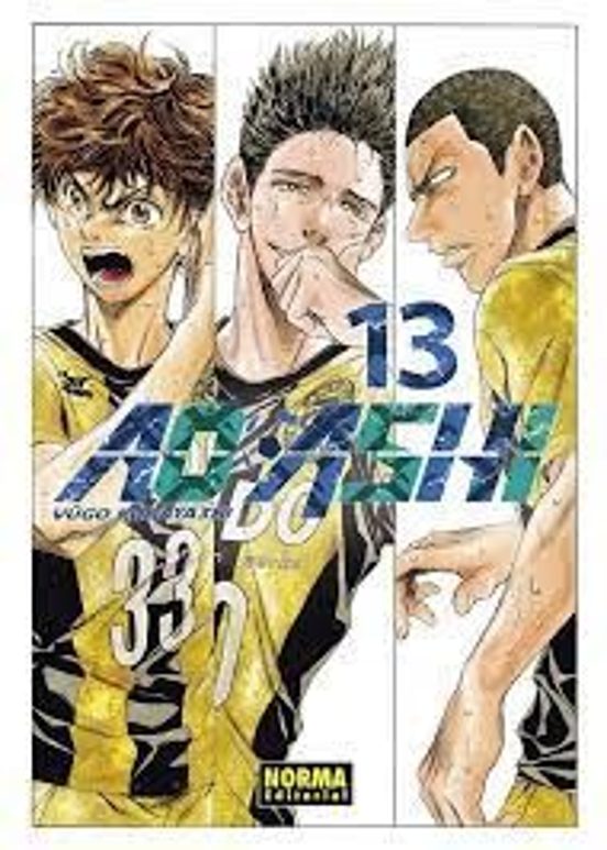 Ao Ashi 13