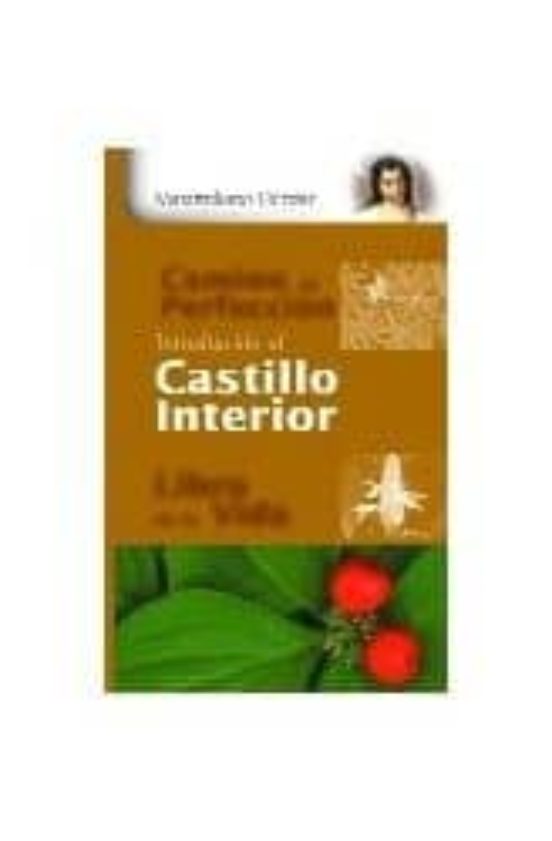 Introducción Al Castillo Interior