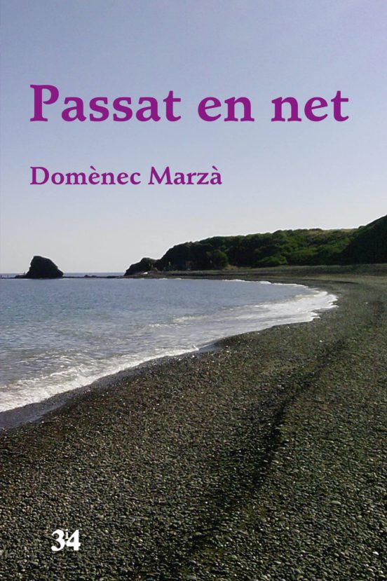 Passat En Net