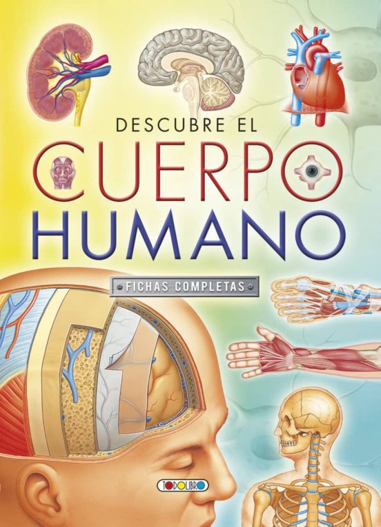 Cuentos Maravillosos: El Cuerpo Humano