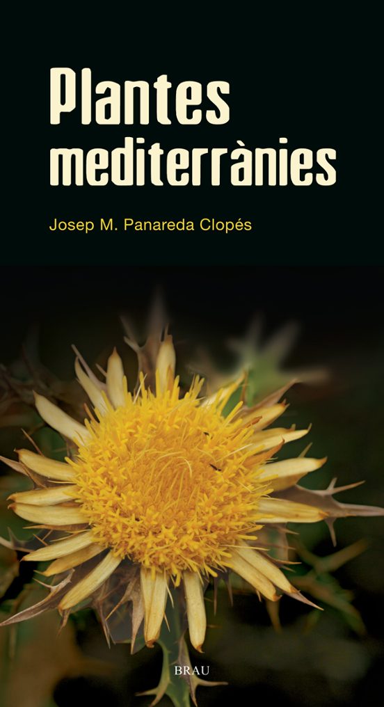 Plantes Mediterrànies