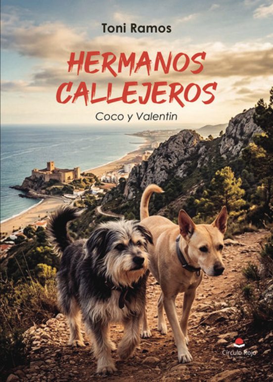 Hermanos Callejeros