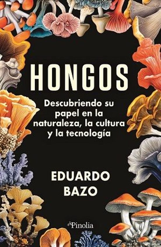 Hongos