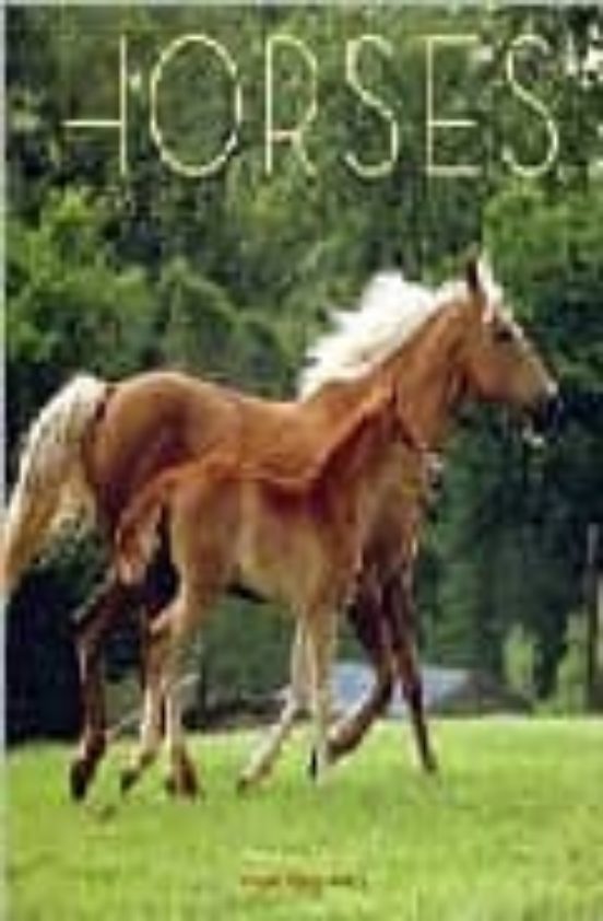 Horses 2008