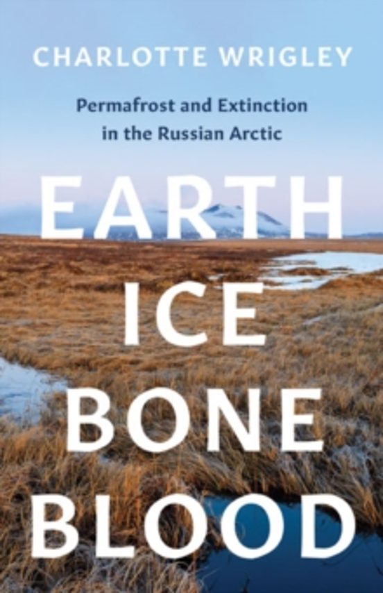 Earth Ice Bone Blood