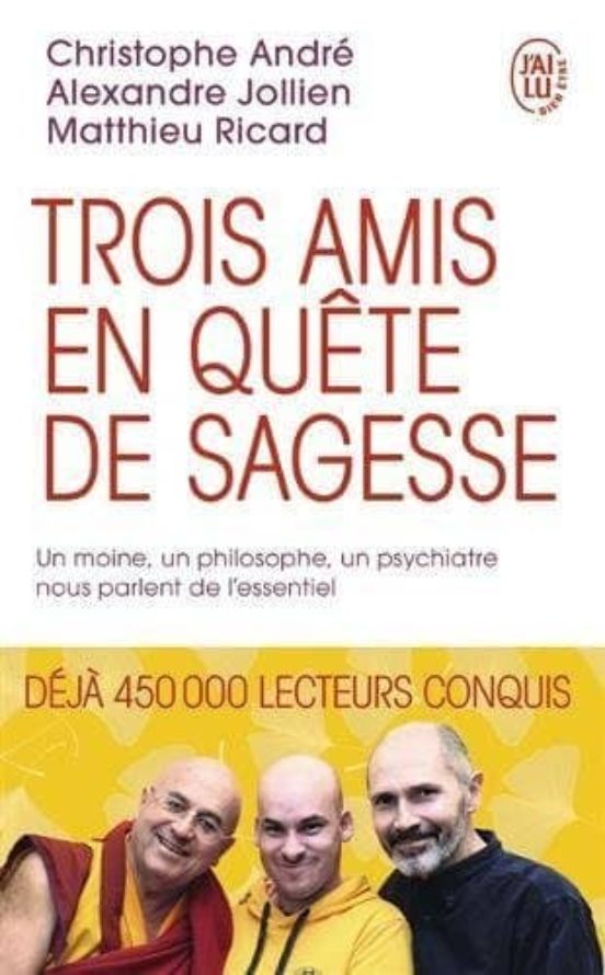 Trois Amis En Quête De Sagesse : Un Moine Un Philosophe Un Psychiatre