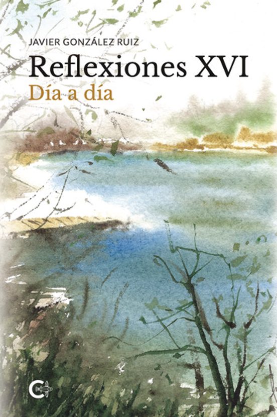 Reflexiones XVI
