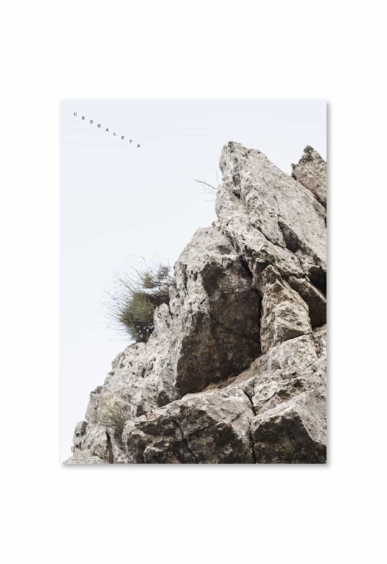 Lescaleta. El Sabor De La Montaña Magica