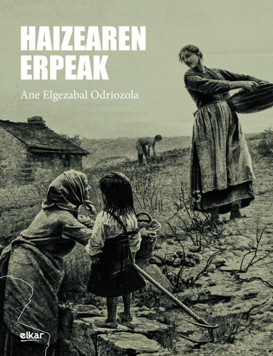 Haizearen Erpeak