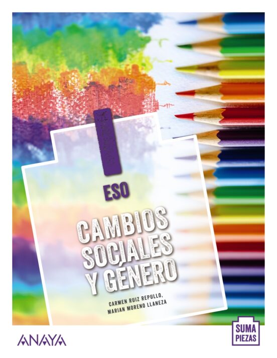 Cambios Sociales y Género i Suma Piezas
