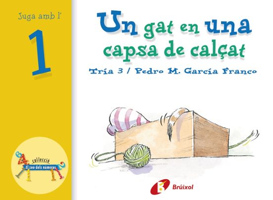 Un Gat En Una Capsa De Calçat