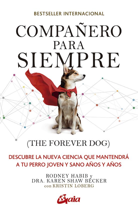 Compañero Para Siempre