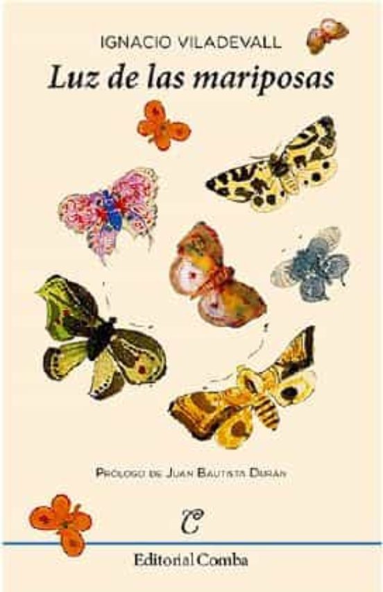 Luz De Las Mariposas
