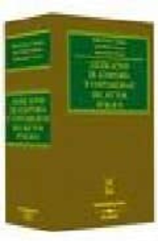 El Auditor Y El Registrador Mercantil. Con Cd-rom