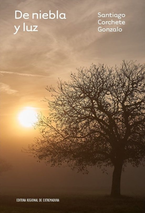 De Niebla Y Luz