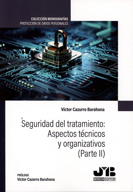 Seguridad Del Tratamiento: Aspectos Tecnicos Y Organizativos