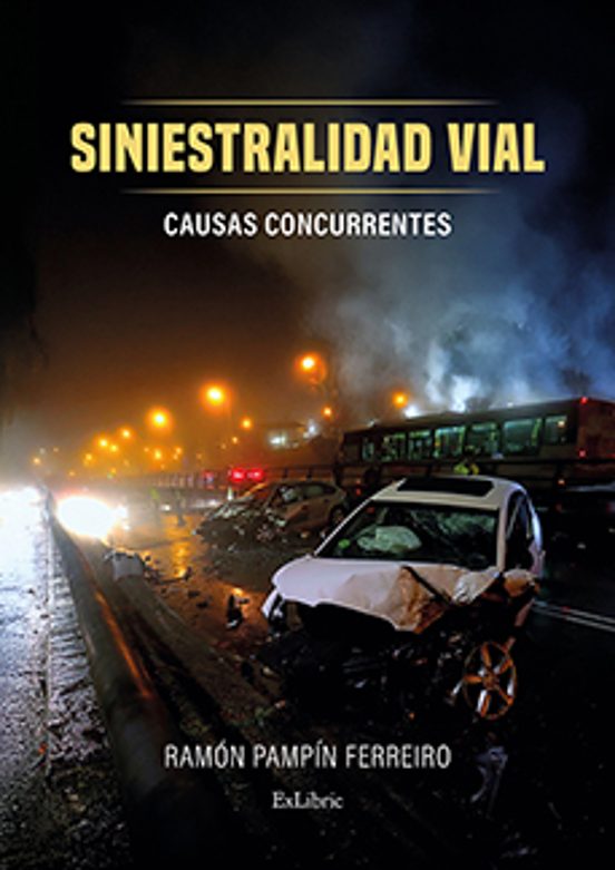 Siniestralidad Vial. Causas Concurrentes