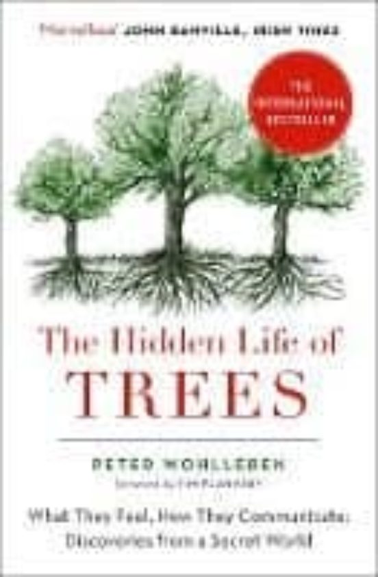 The Hidden Life Of Trees: What They Feel How They Communicate