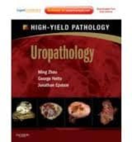 Uropathology A Volume In The High Yield Pathology Series