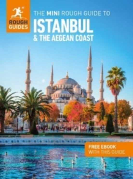 The Mini Rough Guide To Istanbul And The Aegean Coast: Travel Gui De W