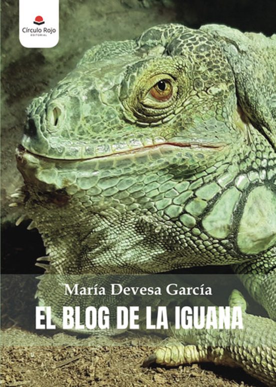 El Blog De La Iguana