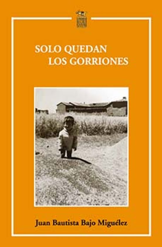Solo Quedan Los Gorriones