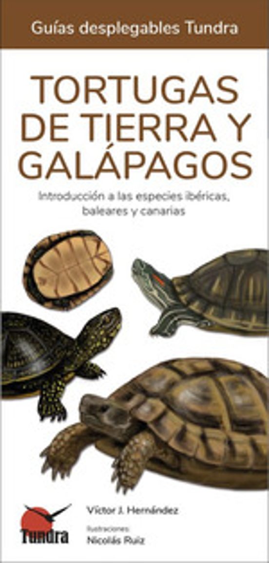 Tortugas De Tierra Y Galapagos - Guias Desplegables Tundra