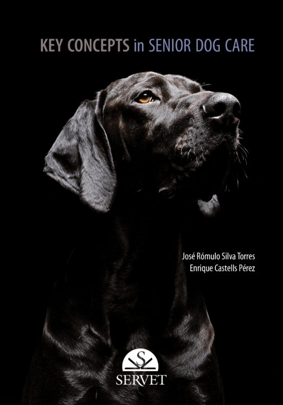 Key Concepts In Senior Dog Care