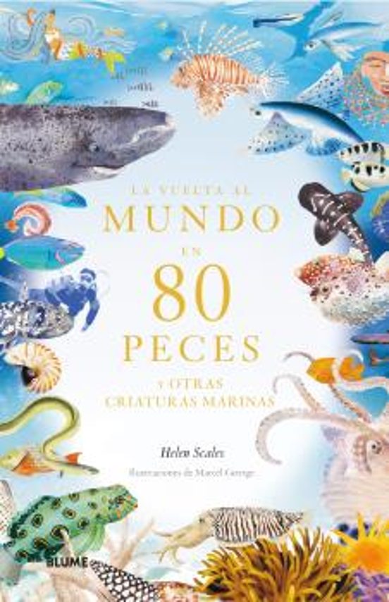 La Vuelta Al Mundo En 80 Peces