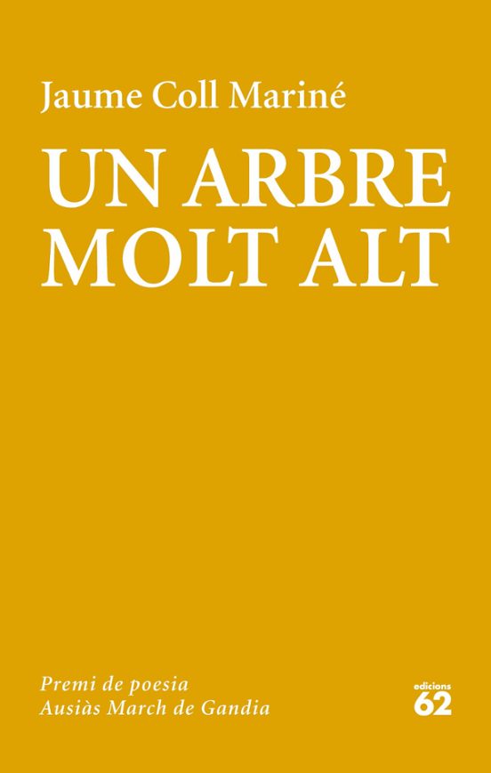 Un Arbre Molt Alt