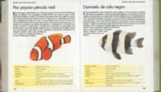 Mascotas: Minipracticos