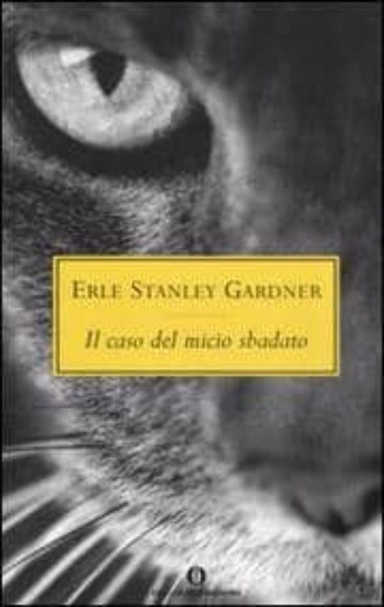 Il Caso Del Micio Sbadato
