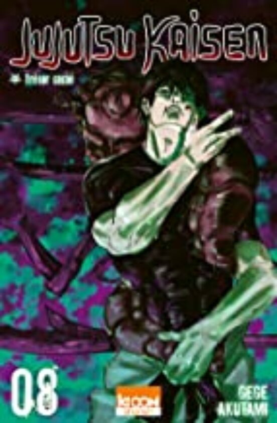Jujutsu Kaisen. Vol. 8. Trésor Caché