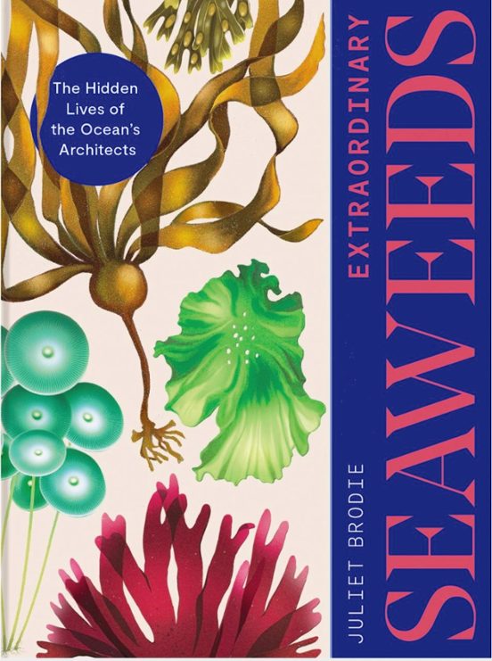 Extraordinary Seaweeds