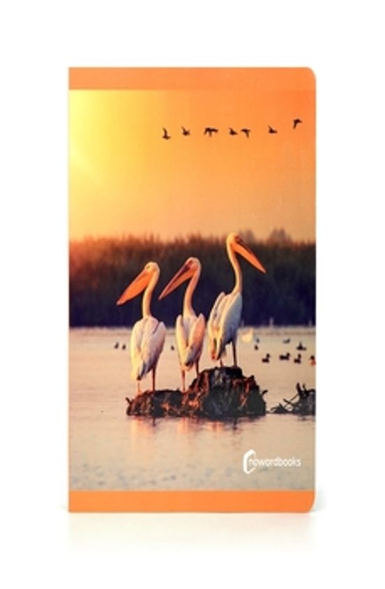 Aves Gran Formato