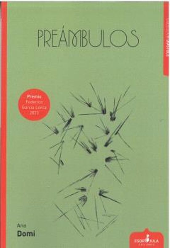 Preámbulos